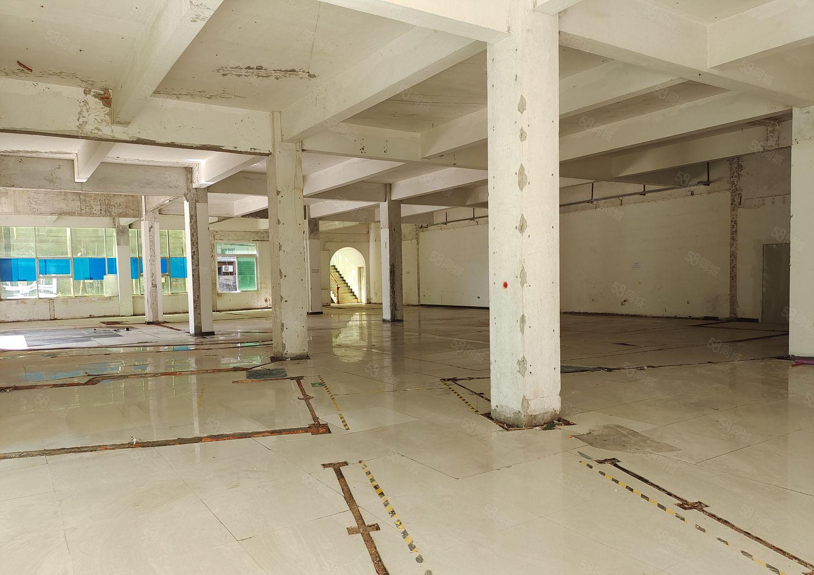 塘厦田心新出一楼800平方，适合各种行业