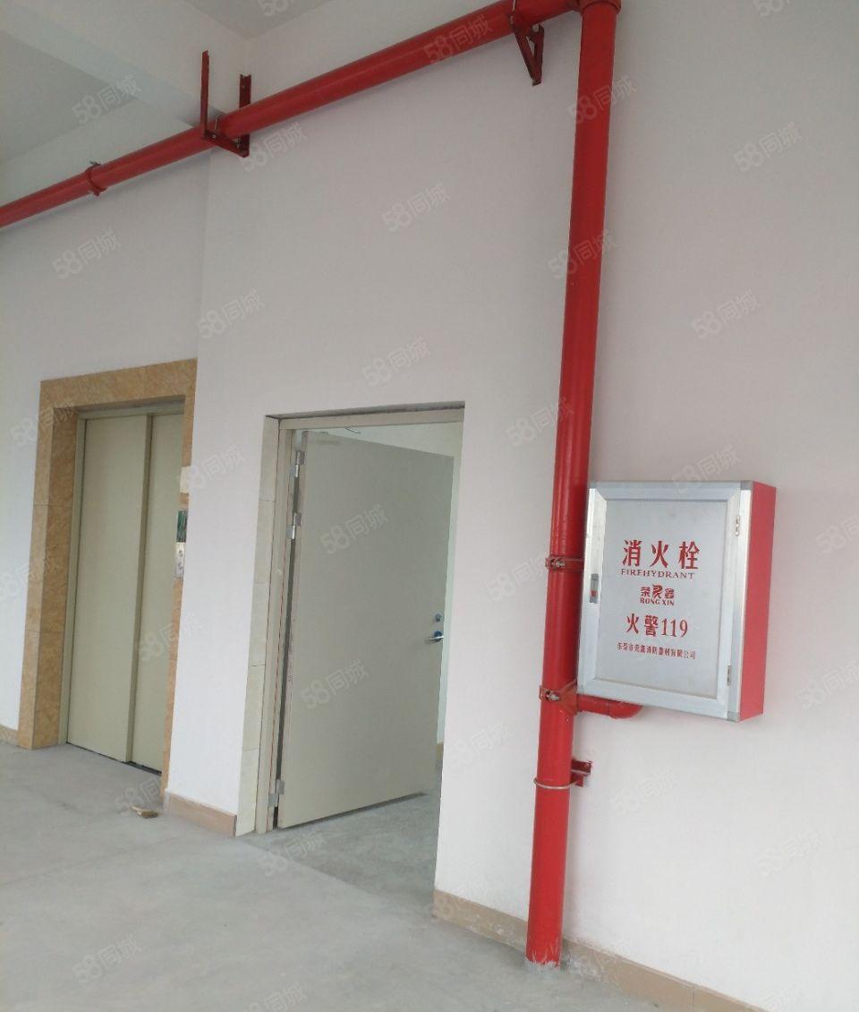 打包价5000元！塘厦清湖头标准3楼厂房298平米出租