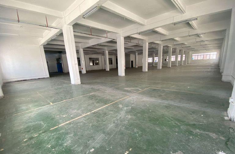 新出塘厦清湖头全新红本厂房7万平方招租，原房东，新装修