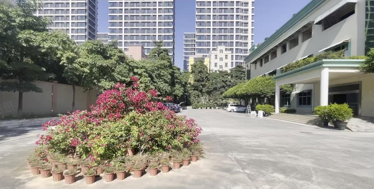 塘厦新出园区厂房 钢构形象佳 可整租可分租 1300平