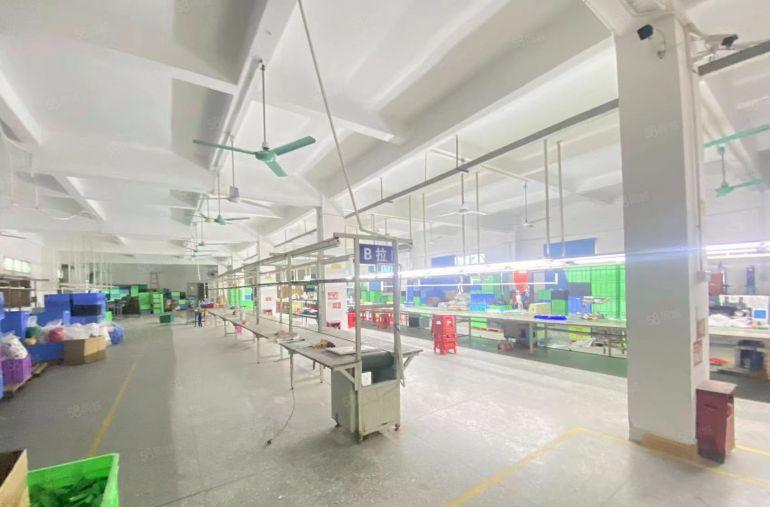 出售 东莞清溪标准独门独院国有双证厂房出售 空地大 停车方便