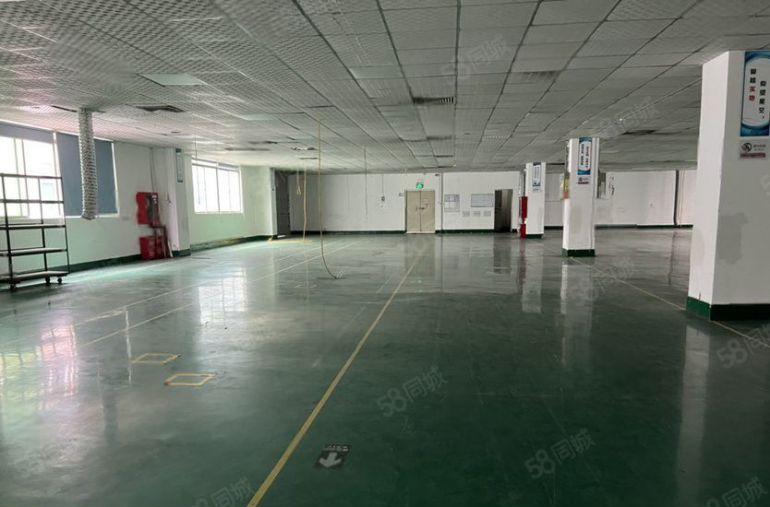 塘厦精装修厂房二楼1180平出租，无转让费，现成办公室水电