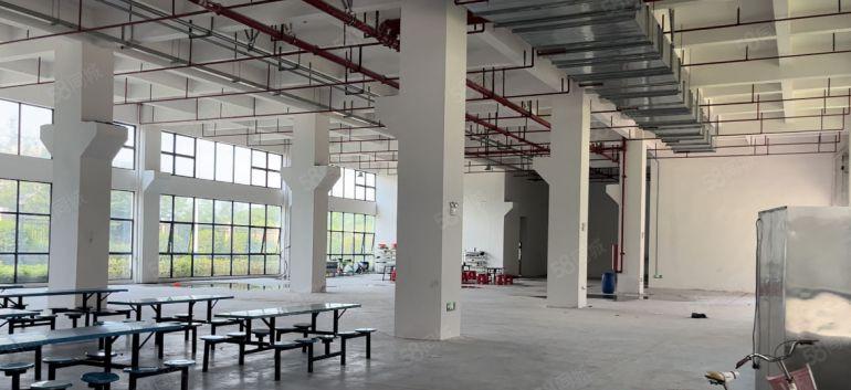 特价9.9塘厦凤凰岗新出高端工业园区现成装修1000大小可租