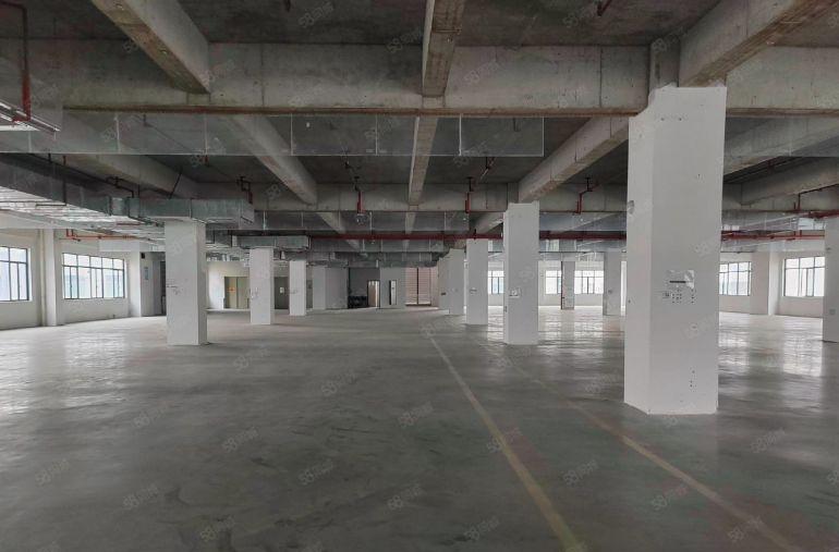 塘厦零公摊  全新原房东独院标准厂房出租50000平方米