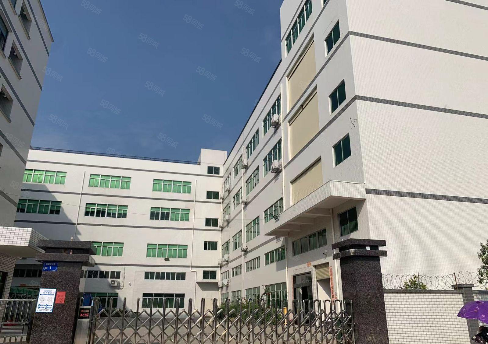 本地房东自建厂房大小出租！一楼6.5米配电大近林村高速配套全