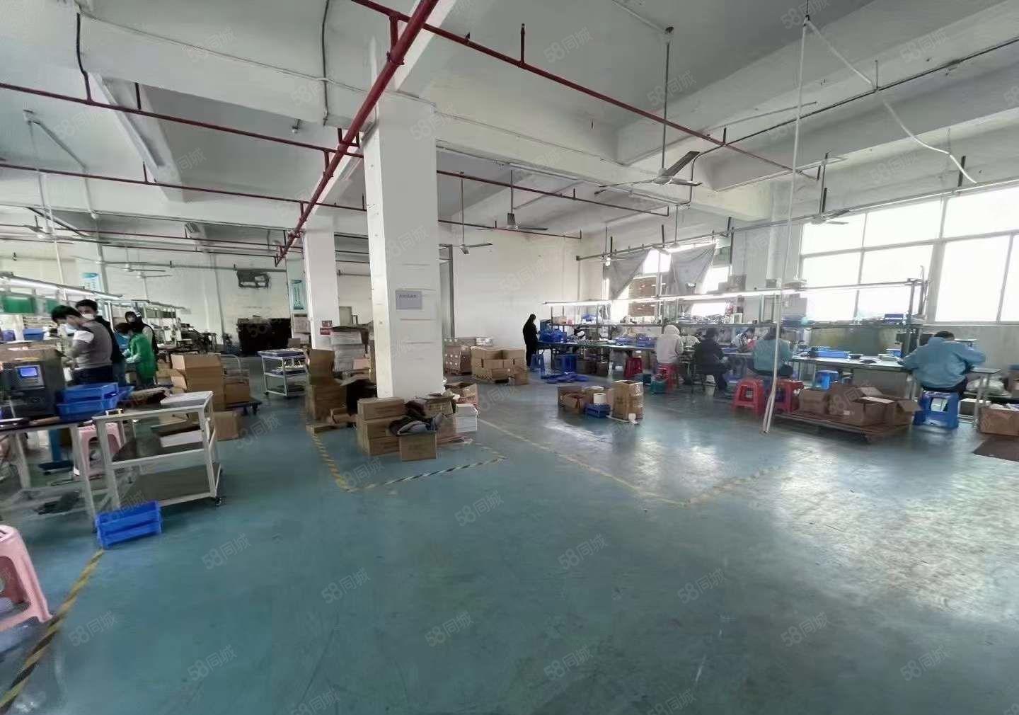 塘厦科苑城二楼650平现成装修厂房出租，电子电商，拎包即驻