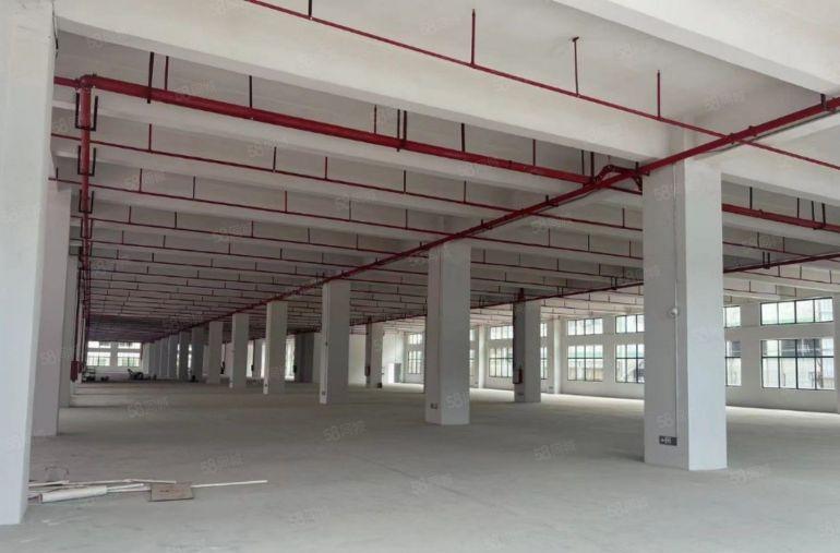 塘厦独栋厂房低价出租，大小可分租，空地大，交通方便！