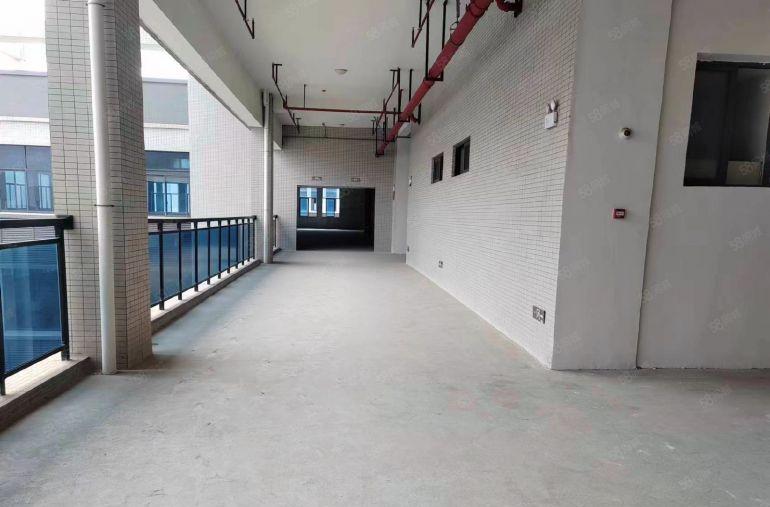 塘厦近大坪高速口靠观澜全新标准厂房5000平招租带消防喷淋