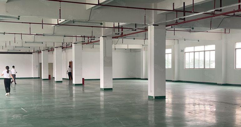 塘厦田心2楼精装修1760平低价出租有地坪漆消防喷淋车间敞亮