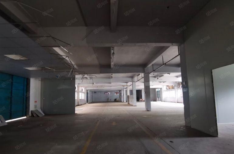 不淹水厂房出租！塘厦天堂围经典小独院钢构2200平，合同期长