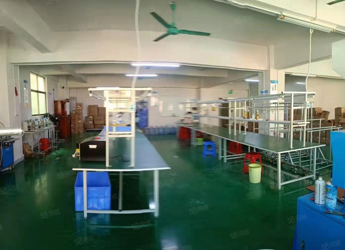 东莞塘厦新出楼上标准厂房420平米出租