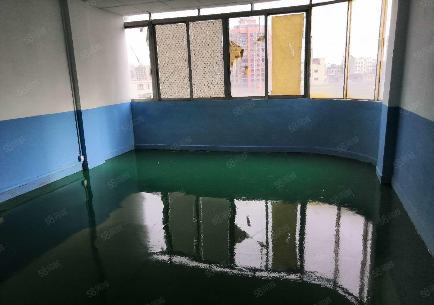 电商.贸易.小加工厂房635平方厂房出租