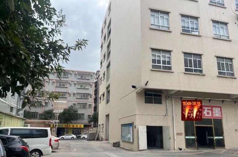 塘厦标准厂房 原房东 好分租