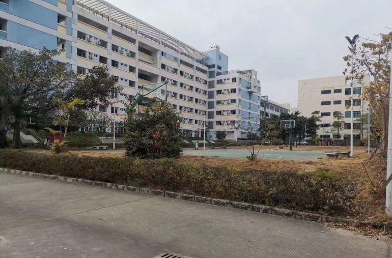 塘厦大坪高速出口原房东红本厂房出租标准一楼2800平卸货平台