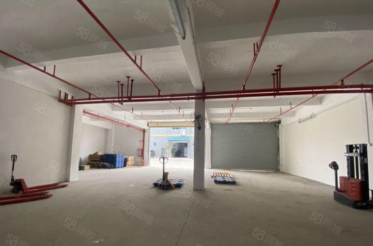 塘厦独院一楼380平仓库厂房出租，消防喷淋水电全可进大车