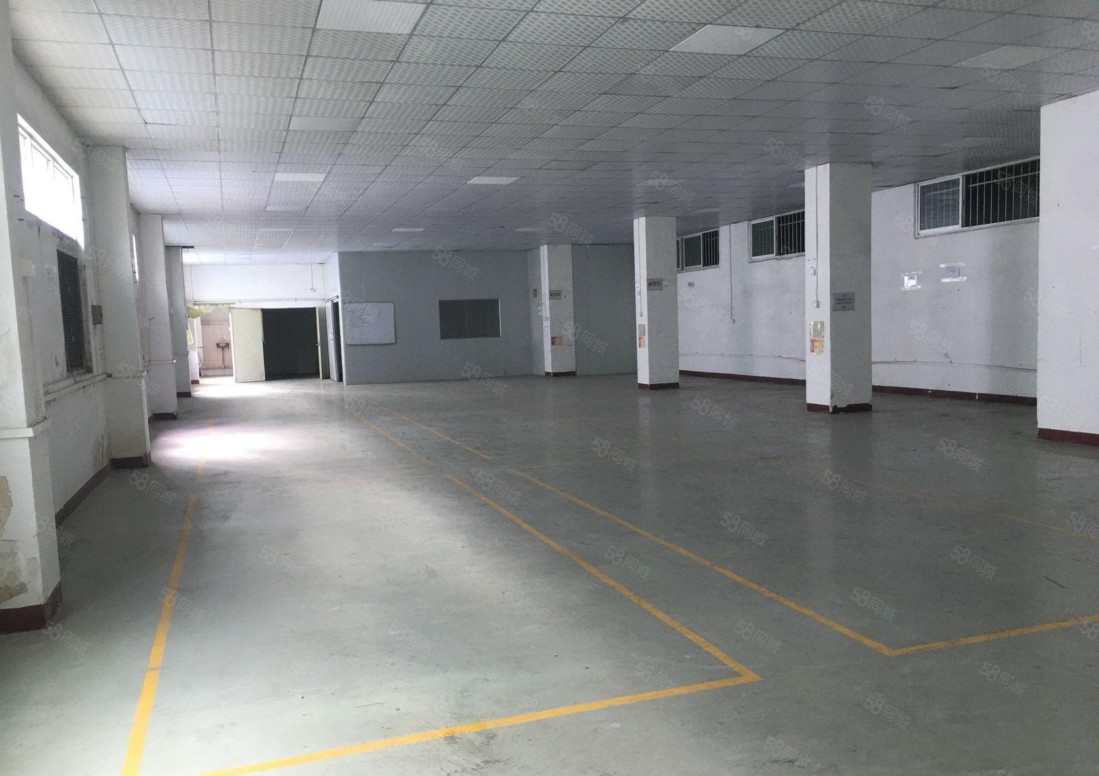 塘厦大坪工业区800平方现成装修  水电  办公室