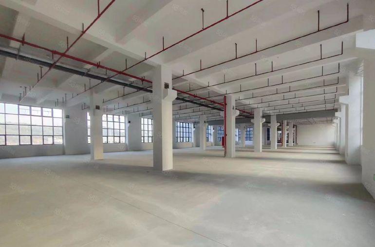 东莞塘厦十年不递增原房东全新厂房，500平起分租5吨电梯上下