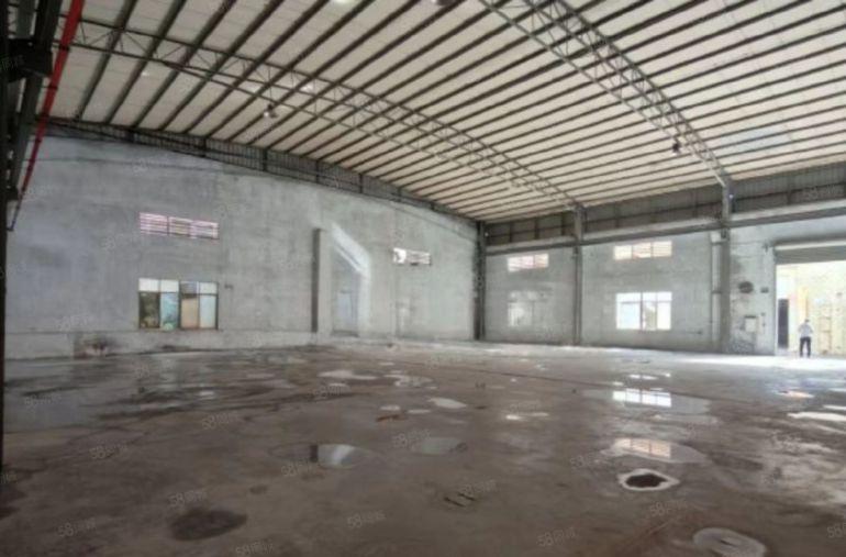 塘厦蛟乙塘新出单层钢构1000平方滴水8米，中间无柱子