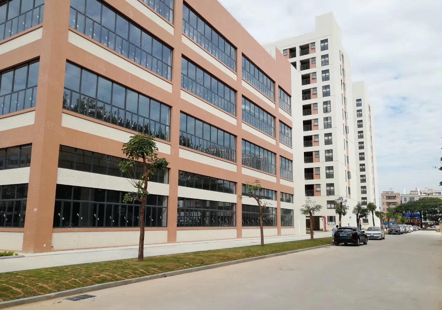 塘厦镇全新独门独院12000平方独门独院高薪企业厂房招租