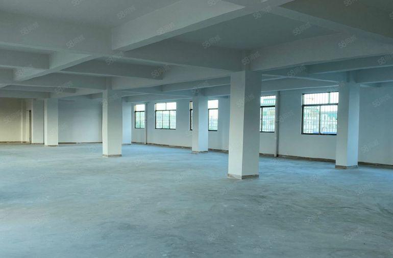 不限行业！特价10元振兴围原房东自带2吨货梯720平厂房出租