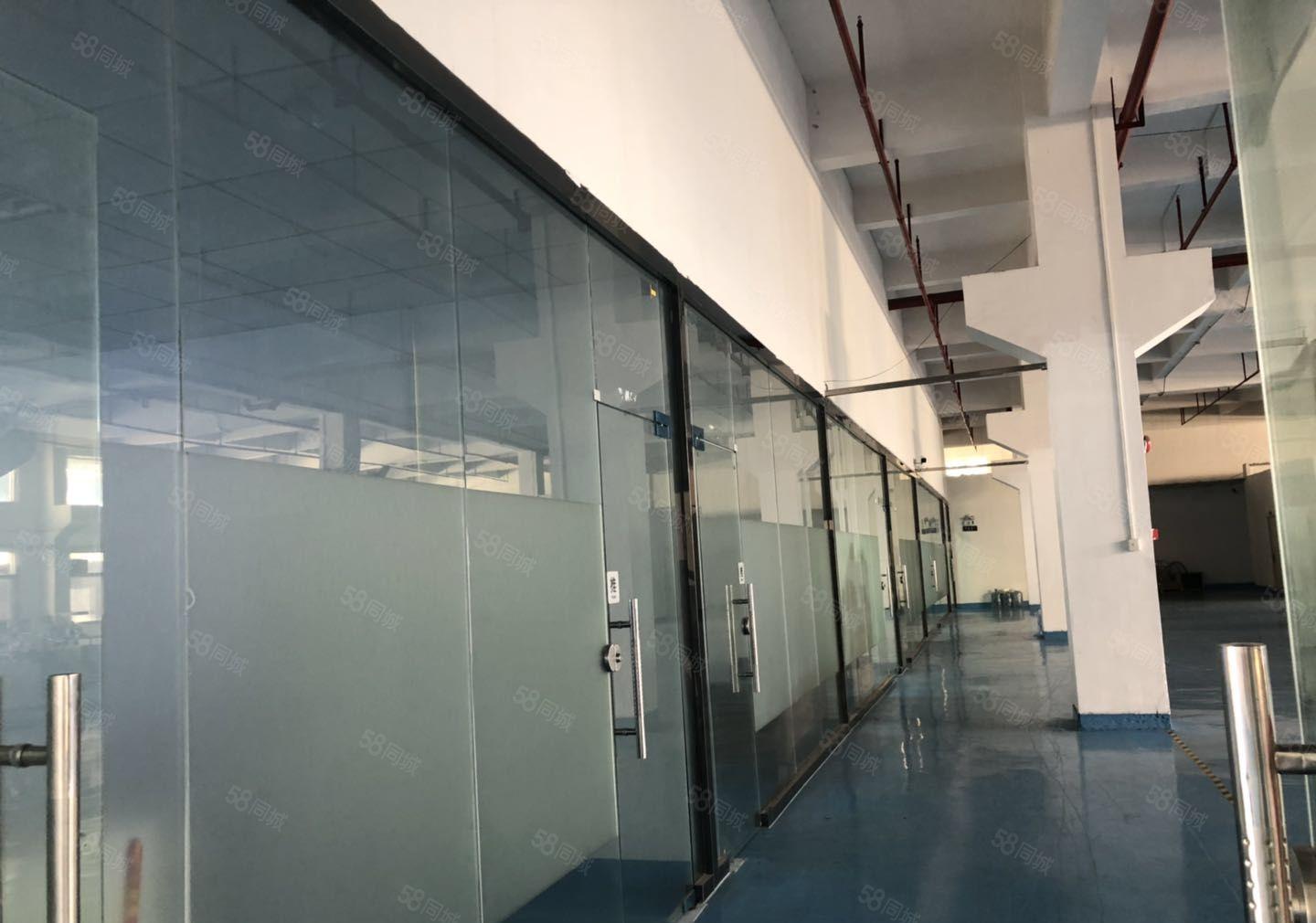 塘厦沙湖一手房东独院12000平方带装修大小可分厂房仓库出租