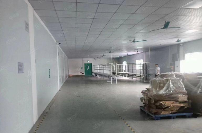 塘厦林村天花吊顶，现成装修厂房出租