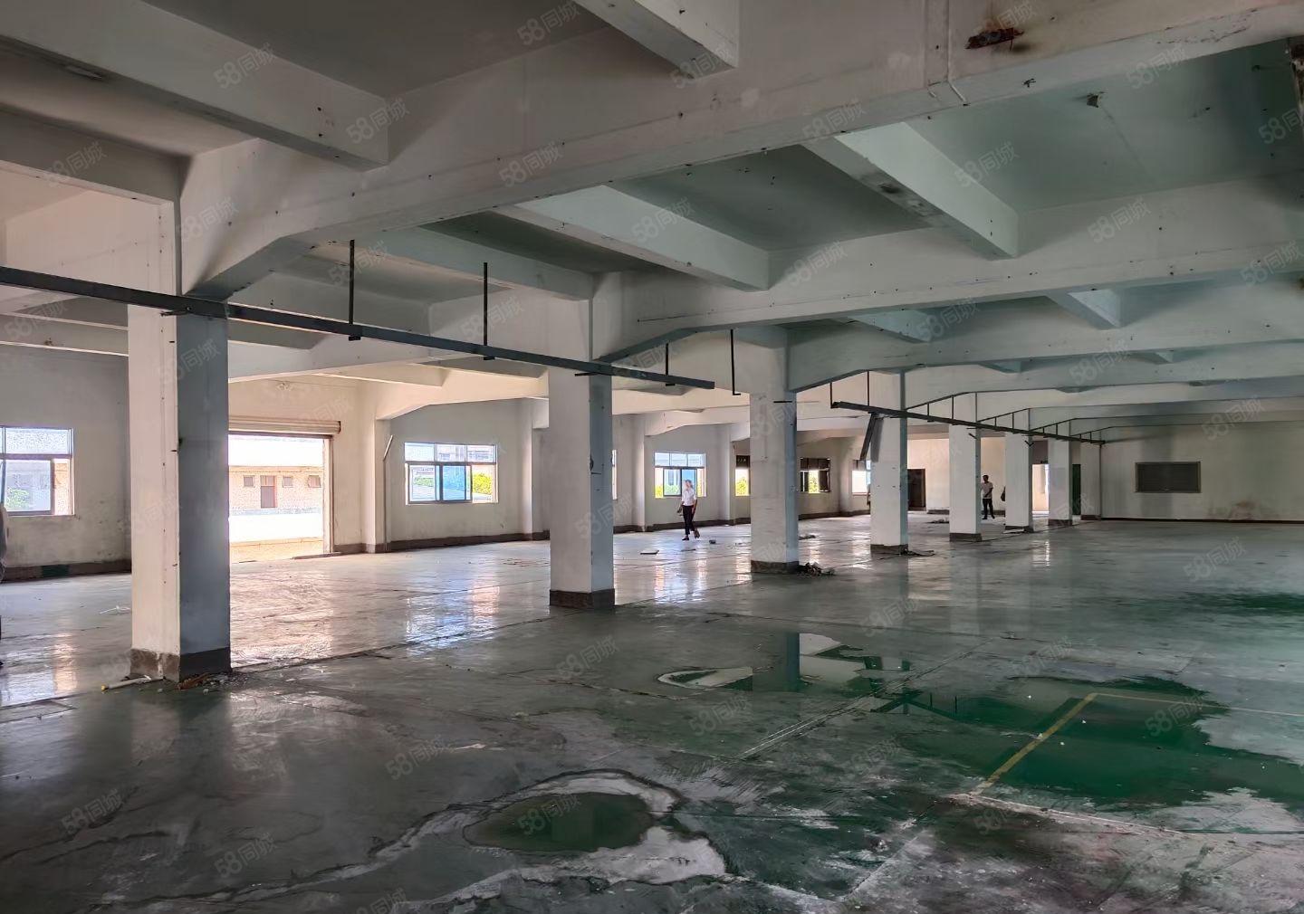 塘厦镇振兴围村，独栋二楼  三楼厂房一起出租，周边停车方便