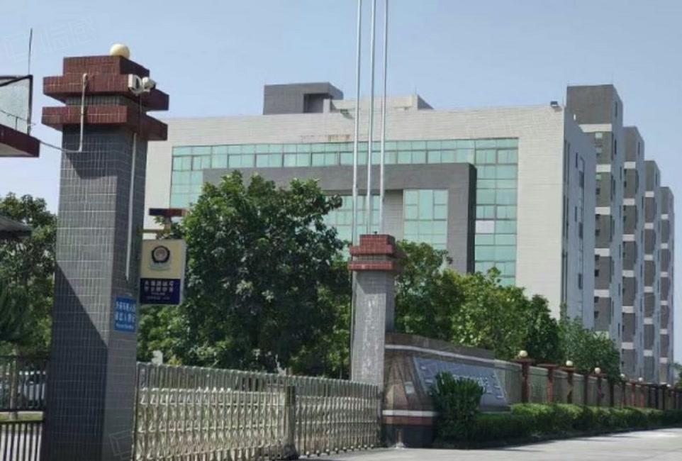 塘厦工业园出租单一层5万平钢构厂房，滴水13米，国有工业用地