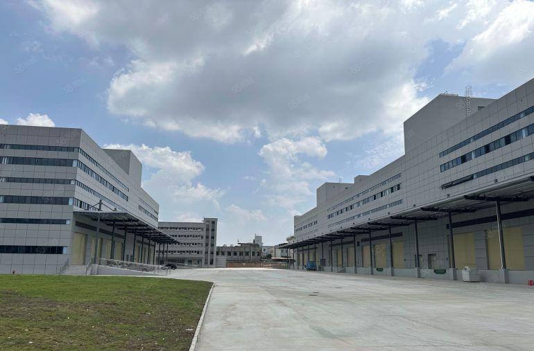 8元电商仓库物流园塘厦红本独院45000平带卸货平台厂房出租