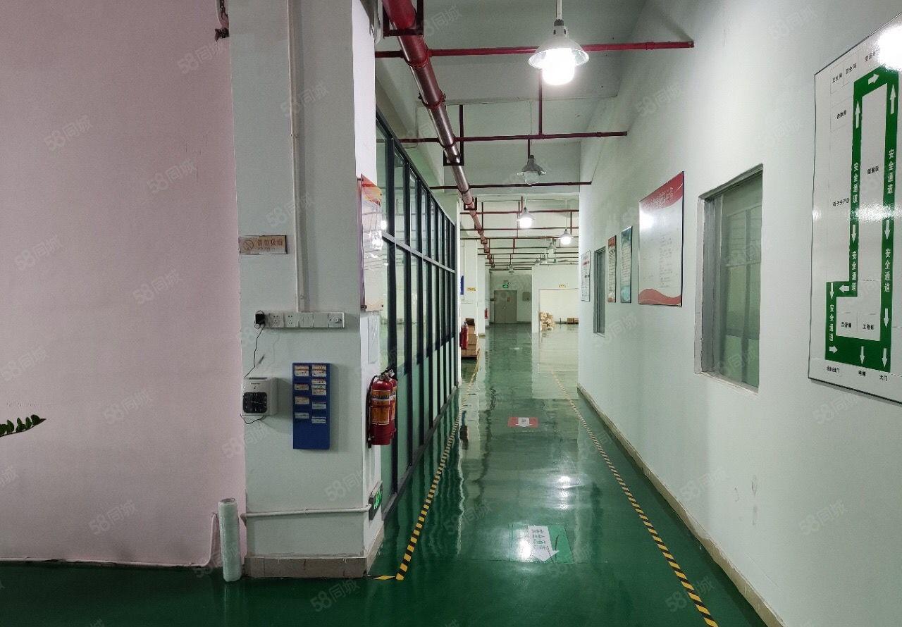 塘厦清湖头工业区标准一楼1600平方