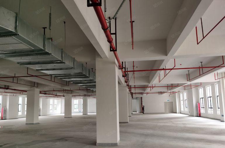 塘厦科苑城全新厂房楼上15元每平米总面积6万平