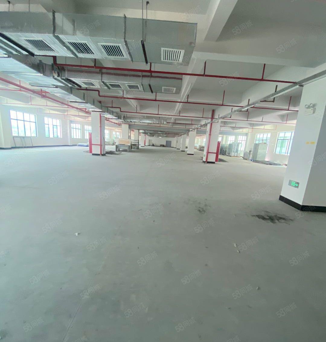 塘厦诸佛岭独门独院1400平厂房出租，价格便宜，