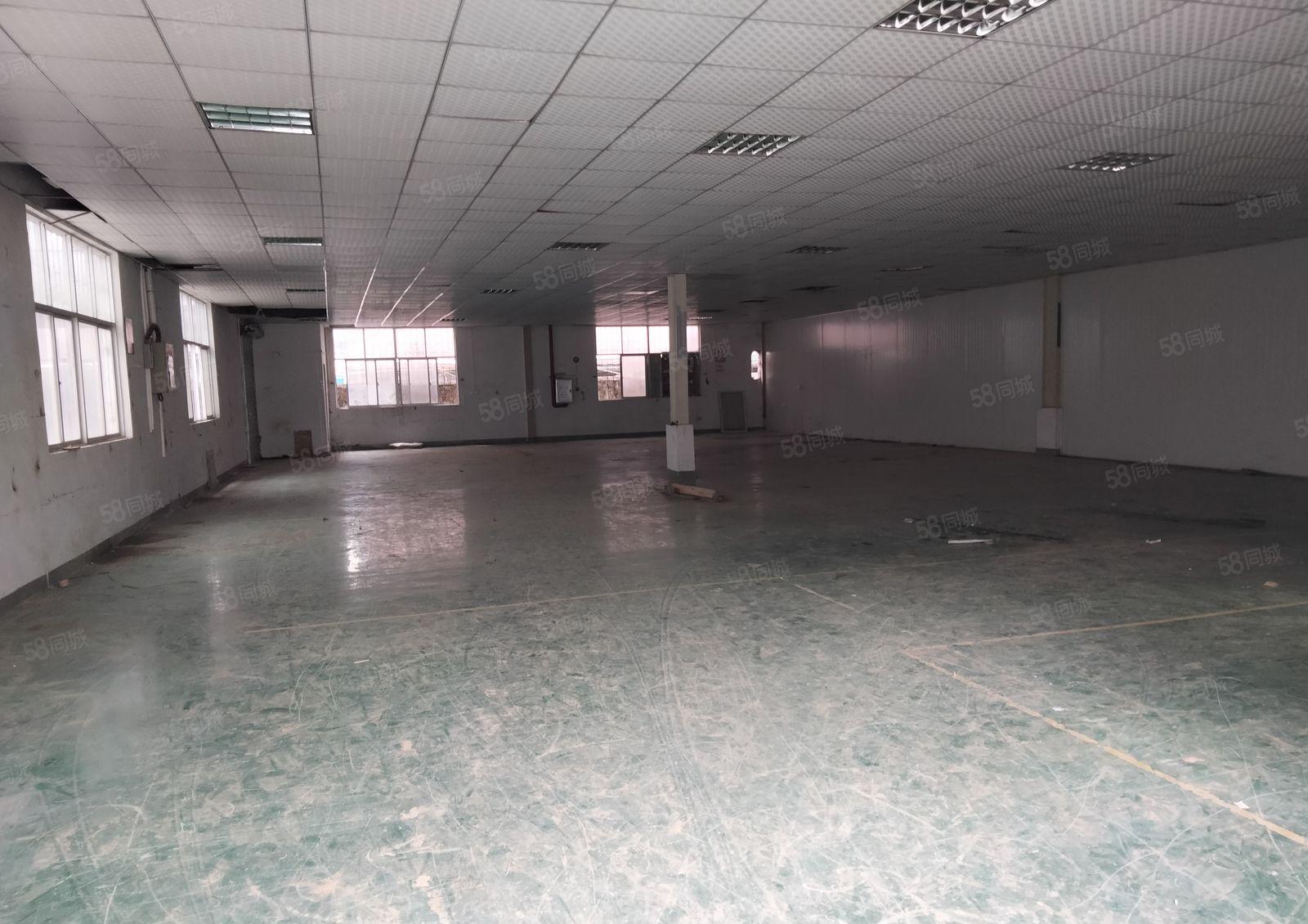 塘厦镇莲湖原房东单一层500平方