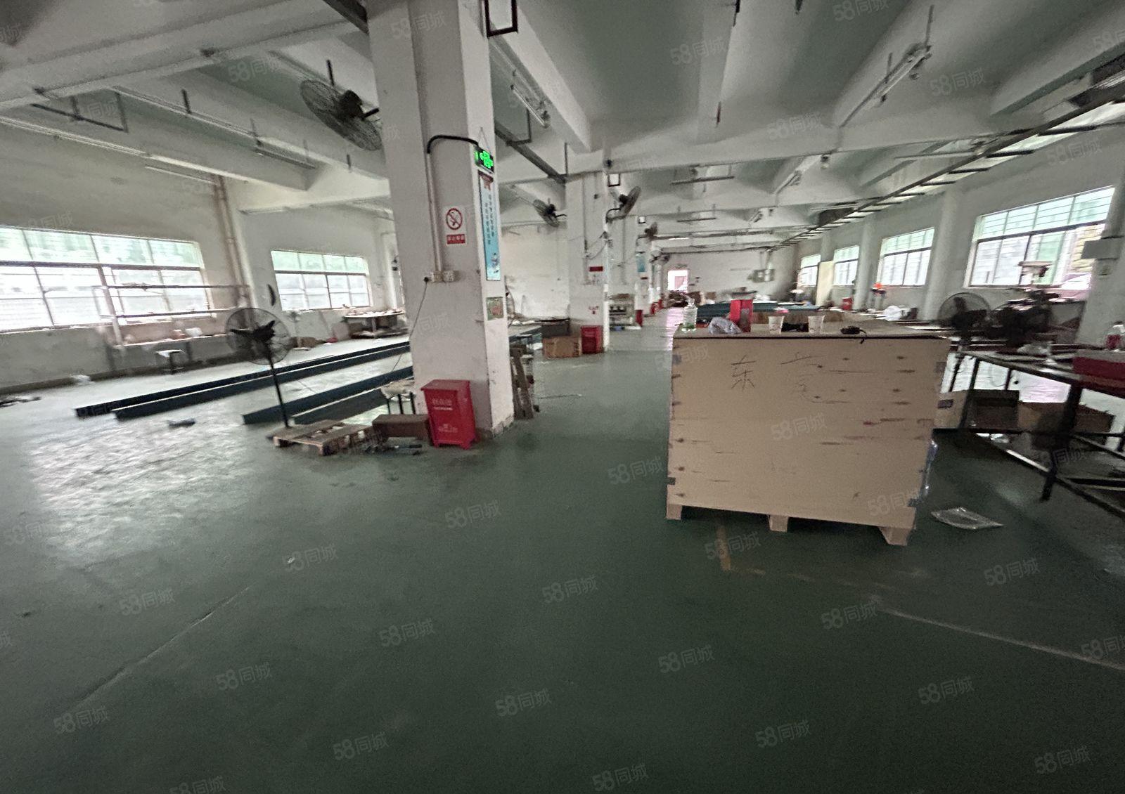 塘厦石鼓标准1楼1400平方，面积实在，消防合格，可分租！