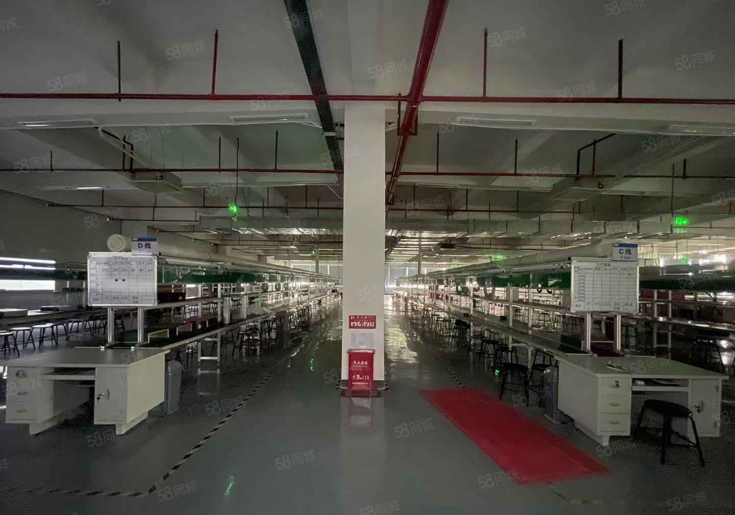 塘厦镇沙湖高新科技产业园新空出3000平方级无尘车间