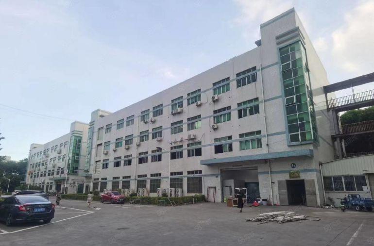 塘厦大坪新出原房东单层2000平独栋8000平厂房仓库出租