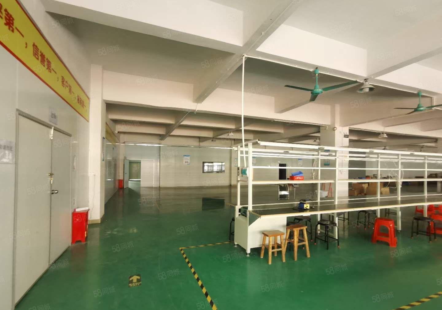 塘厦凤凰岗红本厂房出租1500平二楼 带装修水电齐大小可分