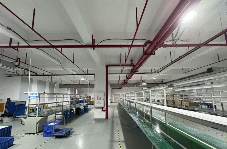 塘厦房东自建厂房仓库 建筑面积2600平精装修含税出租可分租