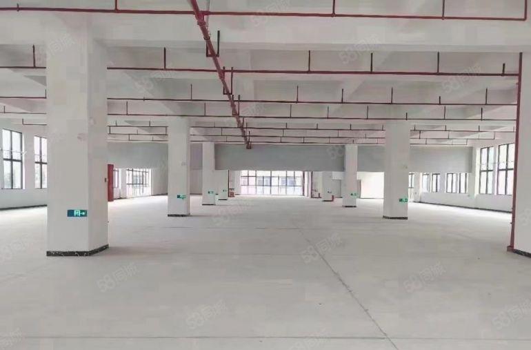 塘厦原房东花园式红本单层面积3315平大小分租部分带装修