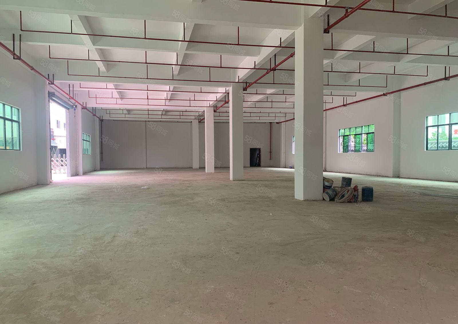 塘厦石鼓新出全新独院厂房6000平