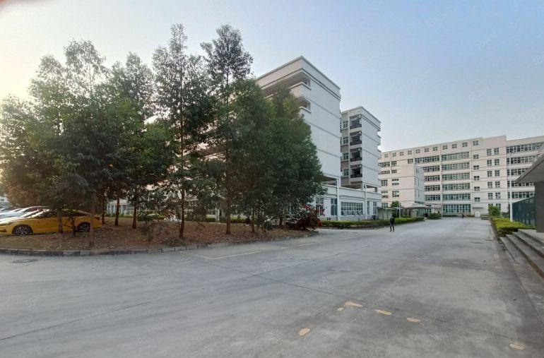 塘厦大坪高速出口原房东标准厂房90000平隆重招商