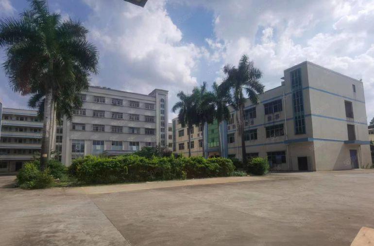 村委独门独院厂房直租！塘厦清湖头新出14000平厂房仓库出租