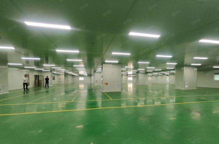 塘厦林村高速口2800平现成装修标准厂房，3吨货梯，大小分租