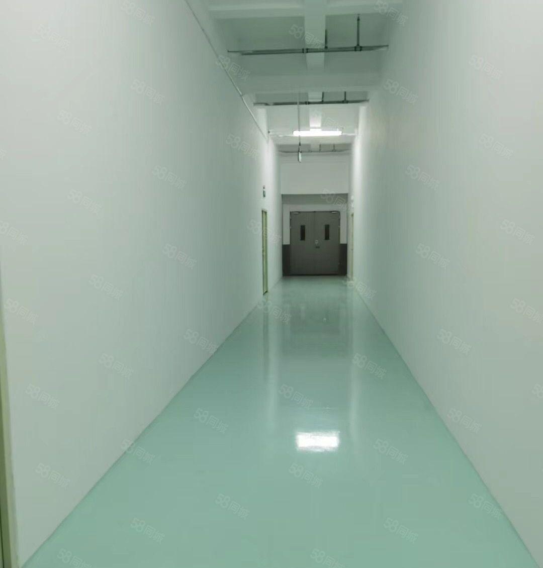 塘厦莆心湖工业区新出三楼2650平方全新装修可分租