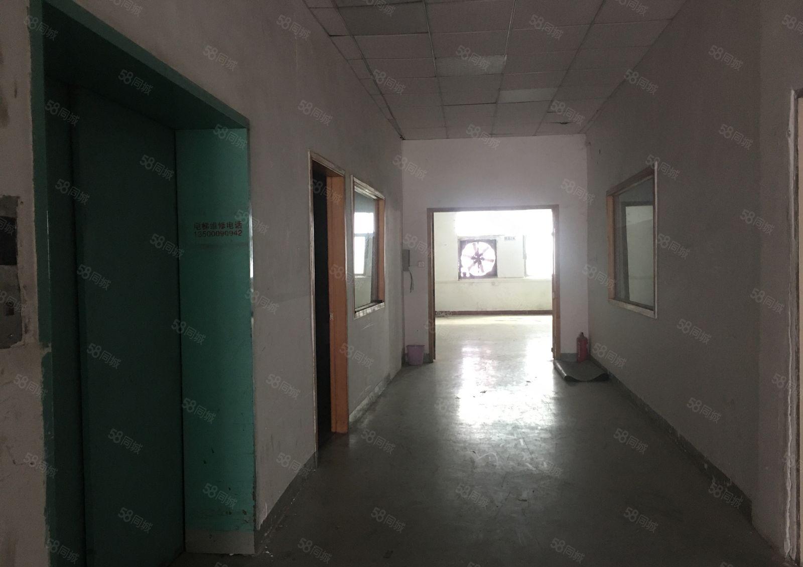 塘厦大坪工业区800平方现成装修  水电  办公室