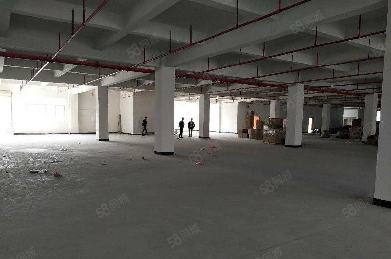 （一手房东直租，没有公摊）塘厦镇中心独院7850平方厂房出租