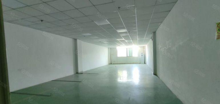 一手房东出租，石鼓一楼480平，8000元，工业园区厂房