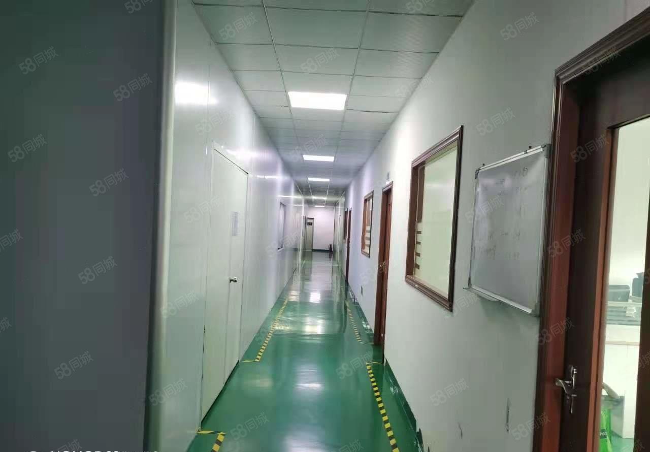 138头新出900平无尘车间出租 周边交通便利，生活设施齐全