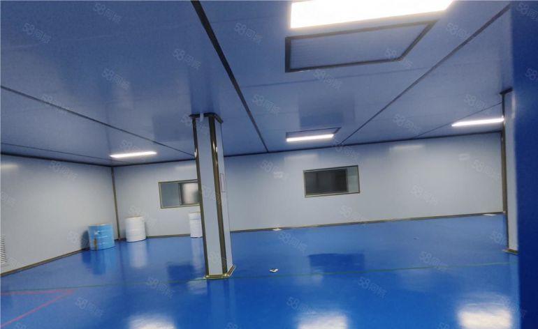 塘厦新空全新医用千级无尘车间，精装修无转让费低价出租空地大