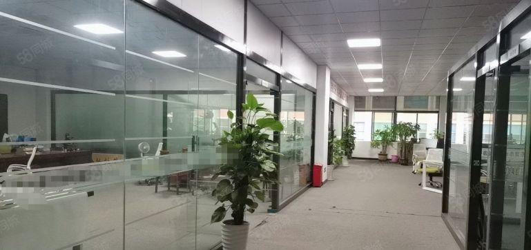 塘厦凤凰岗原房东直租5楼2000平，全层豪华装修，无需转让费